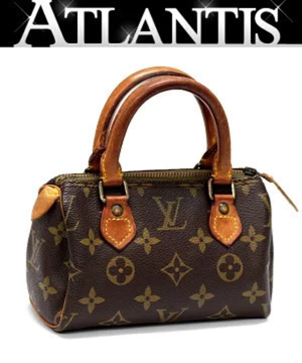 Louis Vuitton Speedy Handbag Monogram